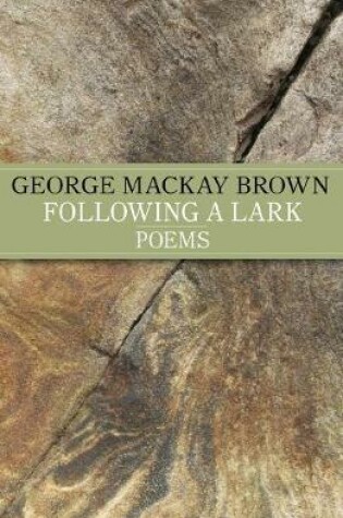 Cover of Following A Lark