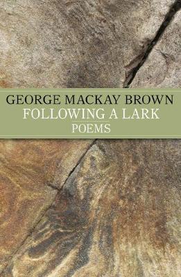 Book cover for Following A Lark