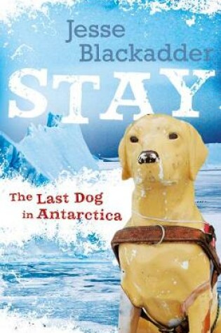 Cover of Stay