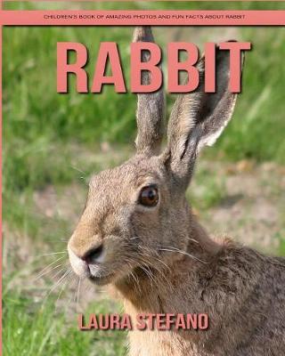 Book cover for Rabbit