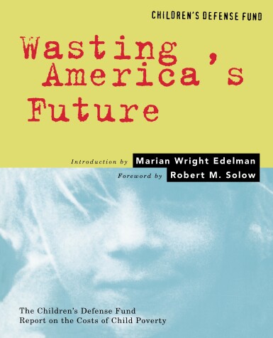 Book cover for Wasting America's Future