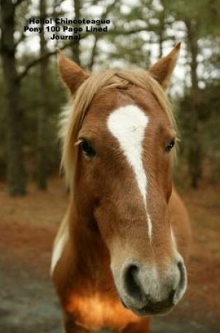 Cover of Hello! Chincoteague Pony 100 Page Lined Journal