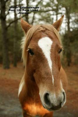 Book cover for Hello! Chincoteague Pony 100 Page Lined Journal