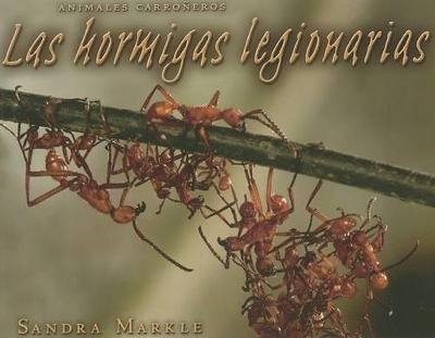 Book cover for Las Hormigas Legionarias