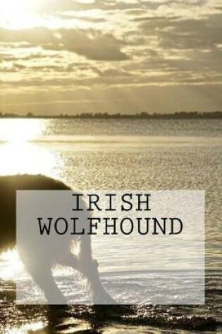 Cover of Irish Wolfhound