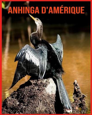 Book cover for Anhinga d'Amérique