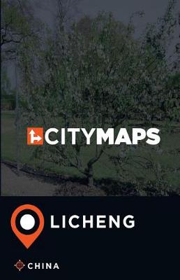 Book cover for City Maps Licheng China