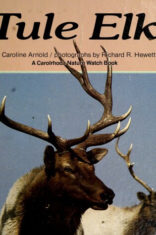 Cover of Tule Elk