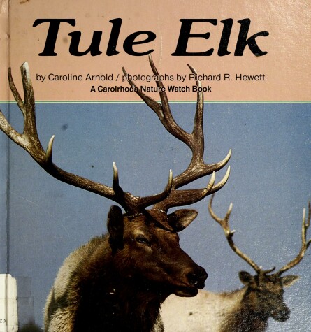 Book cover for Tule Elk