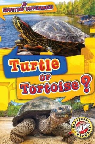 Cover of Turtle or Tortoise?