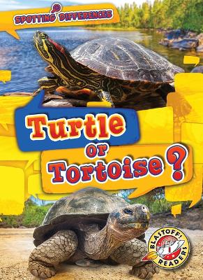 Cover of Turtle or Tortoise?