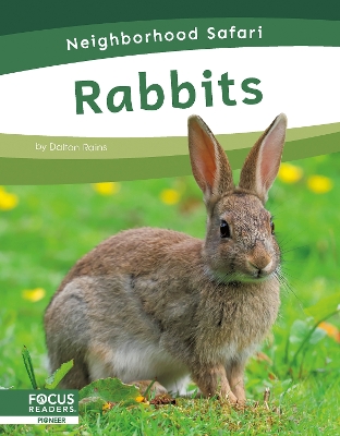 Book cover for Rabbits