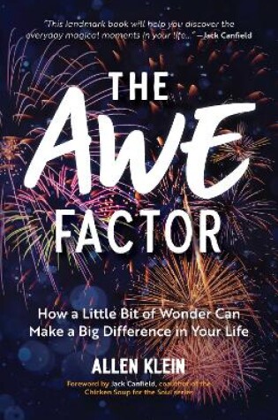 Cover of The Awe Factor