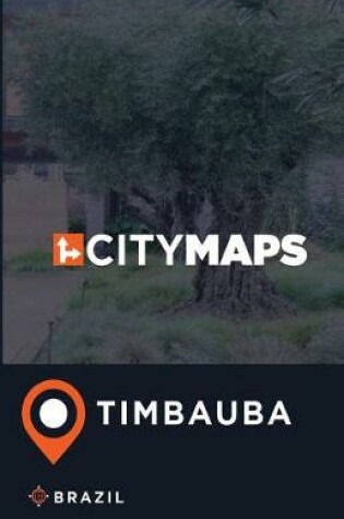 Cover of City Maps Timbauba Brazil