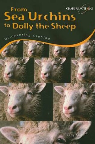 Cover of From Sea Urchins to Dolly the Sheep