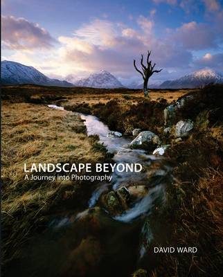 Book cover for Landscape Beyond