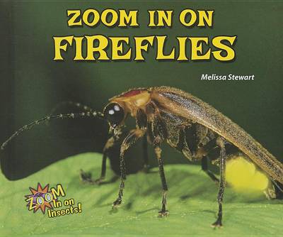 Book cover for Zoom in on Fireflies