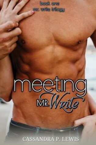 Cover of Meeting Mr. Write