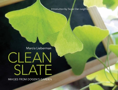 Book cover for Clean Slate