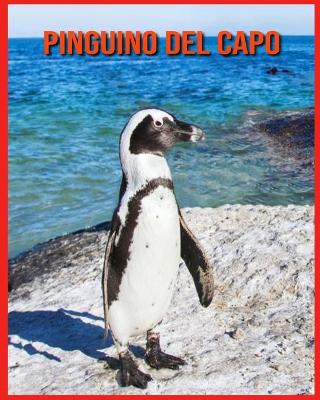 Book cover for Pinguino del Capo