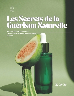 Book cover for Les Secrets de la Guérison Naturelle