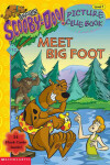 Book cover for Meet Big Foot