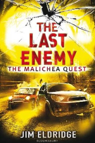 Cover of The Last Enemy