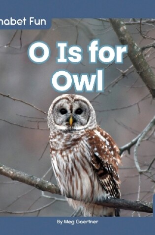 Cover of O Is for Owl