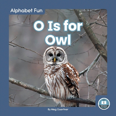 Book cover for O Is for Owl