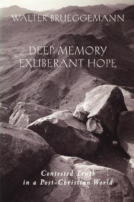 Book cover for Deep Memory, Exuberant Hope