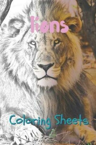 Cover of Lion Coloring Sheets