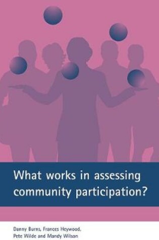 Cover of What works in assessing community participation?