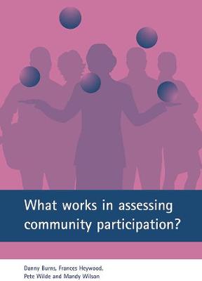 Book cover for What works in assessing community participation?