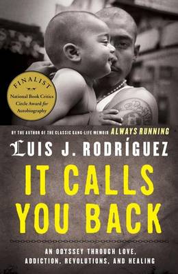 Book cover for It Calls You Back