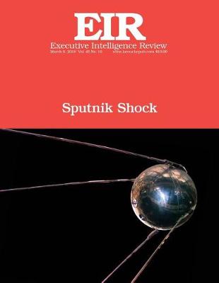 Book cover for Sputnik Shock