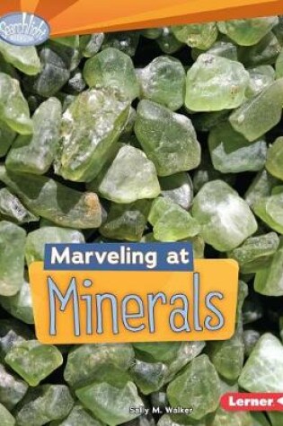 Cover of Marveling at Minerals