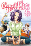 Book cover for Grand Blue Dreaming 2