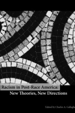 Cover of Racism in Post-Race America: New Theories, New Directions