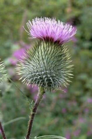 Cover of Purple Thistle Bloom in the Meadow Journal