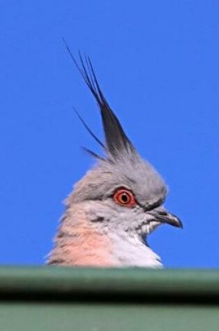 Cover of Crested Pigeon Journal