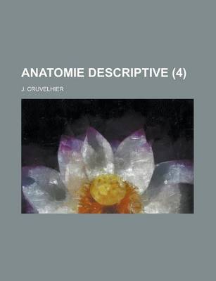 Book cover for Anatomie Descriptive (4 )