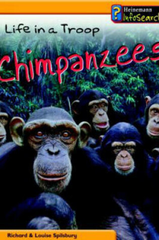 Cover of Animal Groups: Life in a Troop of Chimpanzees Paperback