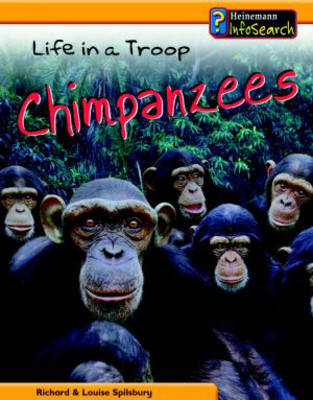 Book cover for Animal Groups: Life in a Troop of Chimpanzees Paperback