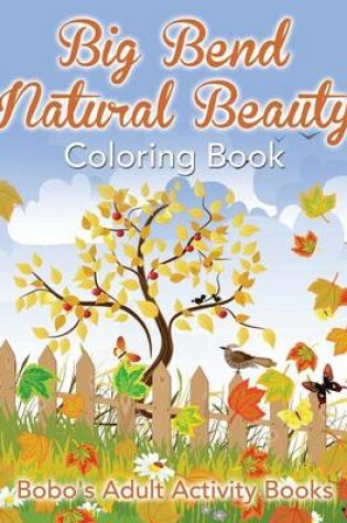 Cover of Big Bend Natural Beauty Coloring Book