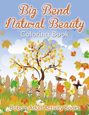 Book cover for Big Bend Natural Beauty Coloring Book