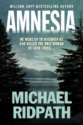 Book cover for Amnesia