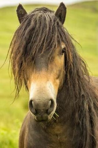 Cover of Exmoor Pony Horse Journal