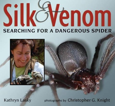 Book cover for Silk & Venom: Searching For A Dangerous