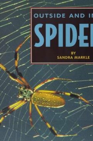 Cover of Outside and Inside Spiders