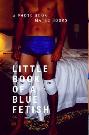 Cover of Little Book of blue Fetish